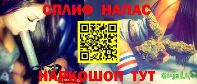 МДПВ Гай