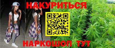 спайс Гатчина