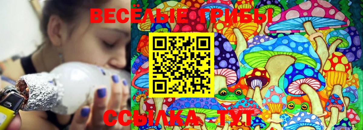 Псилоцибиновые грибы Psilocybine cubensis  Вход с VPN  Наро-Фоминск  Галлюциногенные грибы Psilocybe 